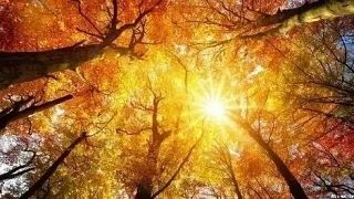 🍁 «Золотая осень» возвращается в Оренбуржье