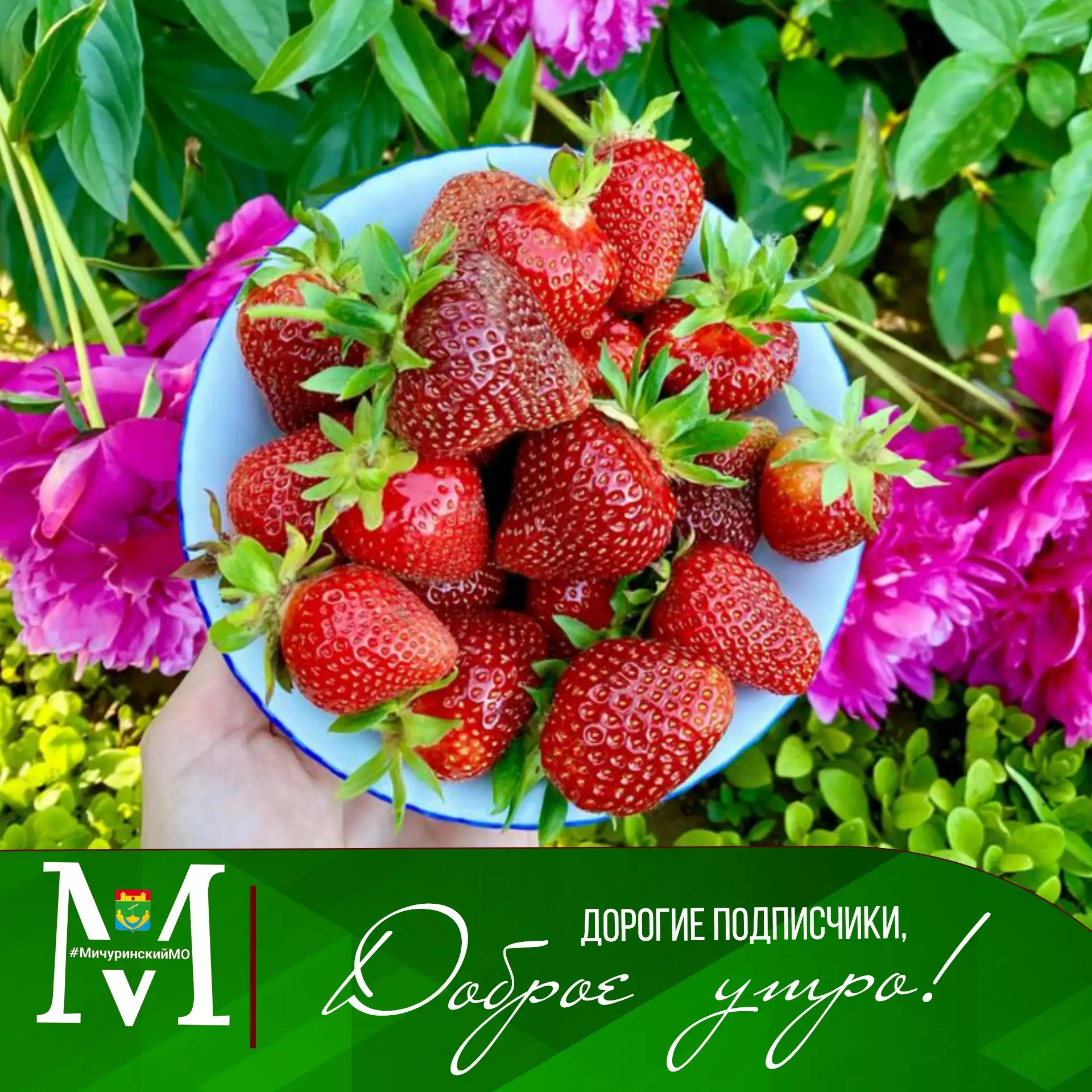 🌤Доброе утро, дорогие подписчики!

🍓На календаре середина июня. В воздухе витает ни с чем не сравн
