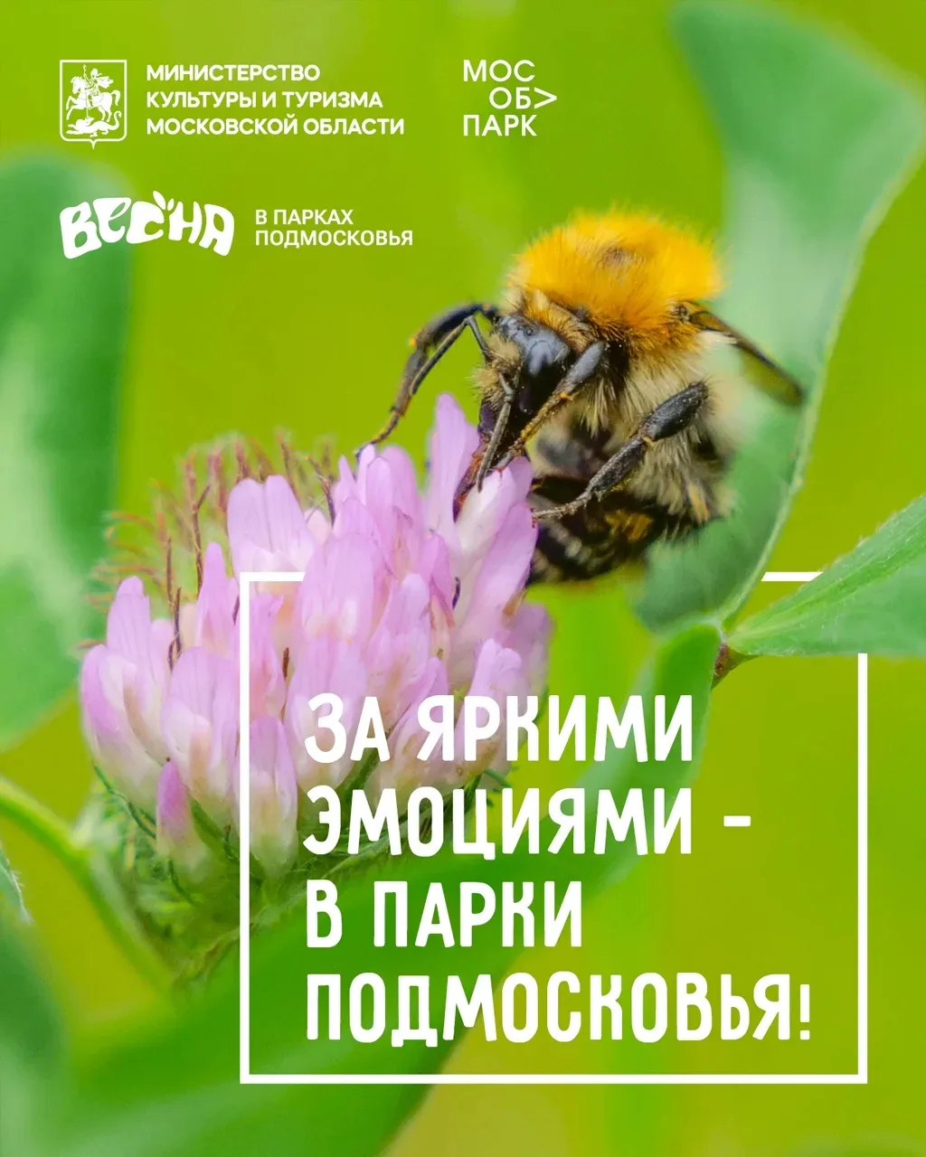 🌸 Майские выходные в парках Подмосковья — настоящая весенняя сказка   Приглашаем вас насладиться про