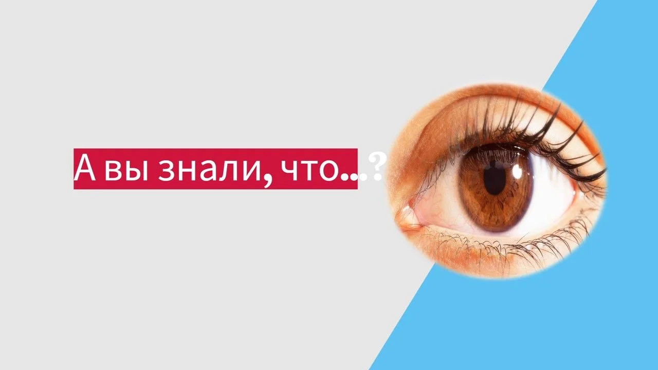 А вы знали, что...у человека есть «третье веко»?