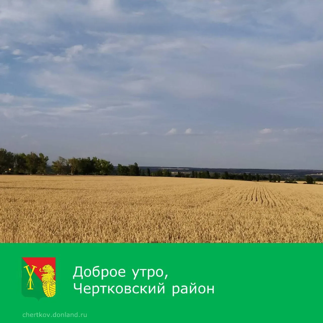 Доброе утро! ☀️

Добра и оптимизма! ✨

#Чертковскийрайон #ДоброеутроЧертковцы