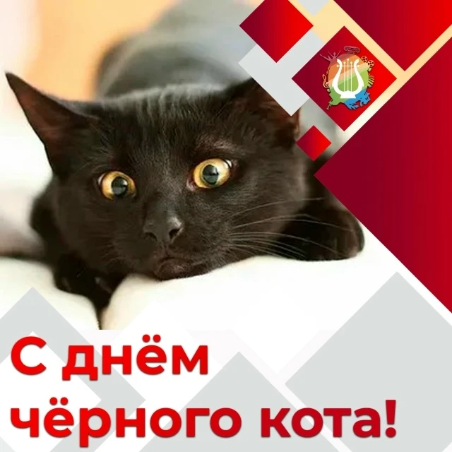 📆 С днём чёрного кота! 🌠 
 
Ну, кто сказал, что я несу несчастья, 
Коль перейду кому-то вдруг доро
