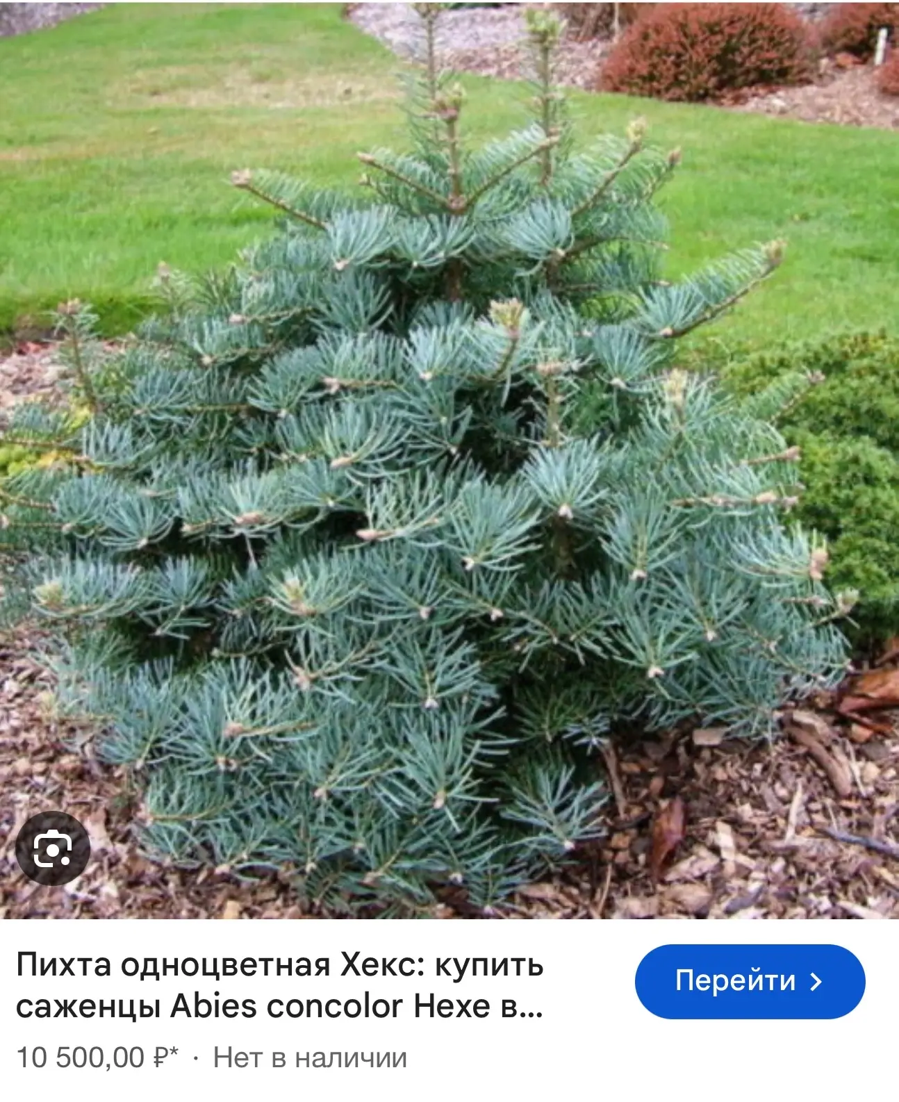 Обратите внимание на цену в интернет магазине в таком же размере !!!! Дороже на 50%