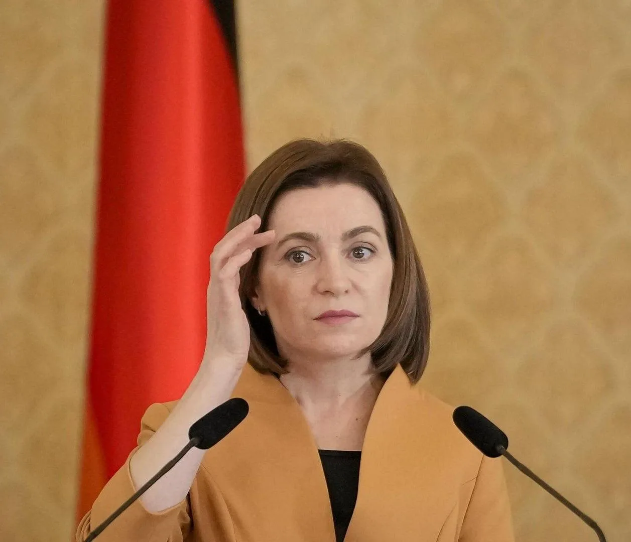 🇲🇩Майю Санду требуют отстранить от должности президента