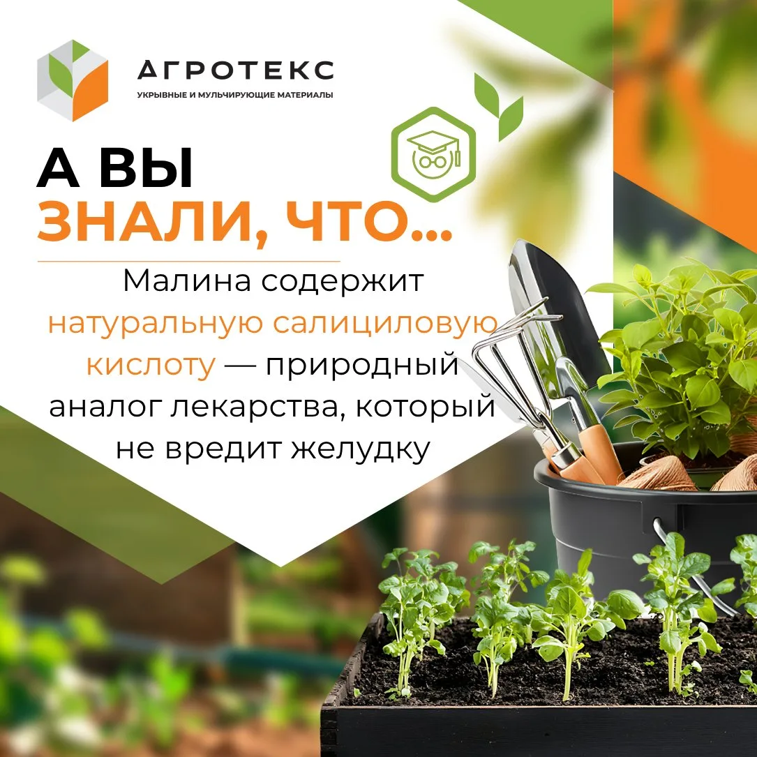 «Не жизнь, а малина!»...