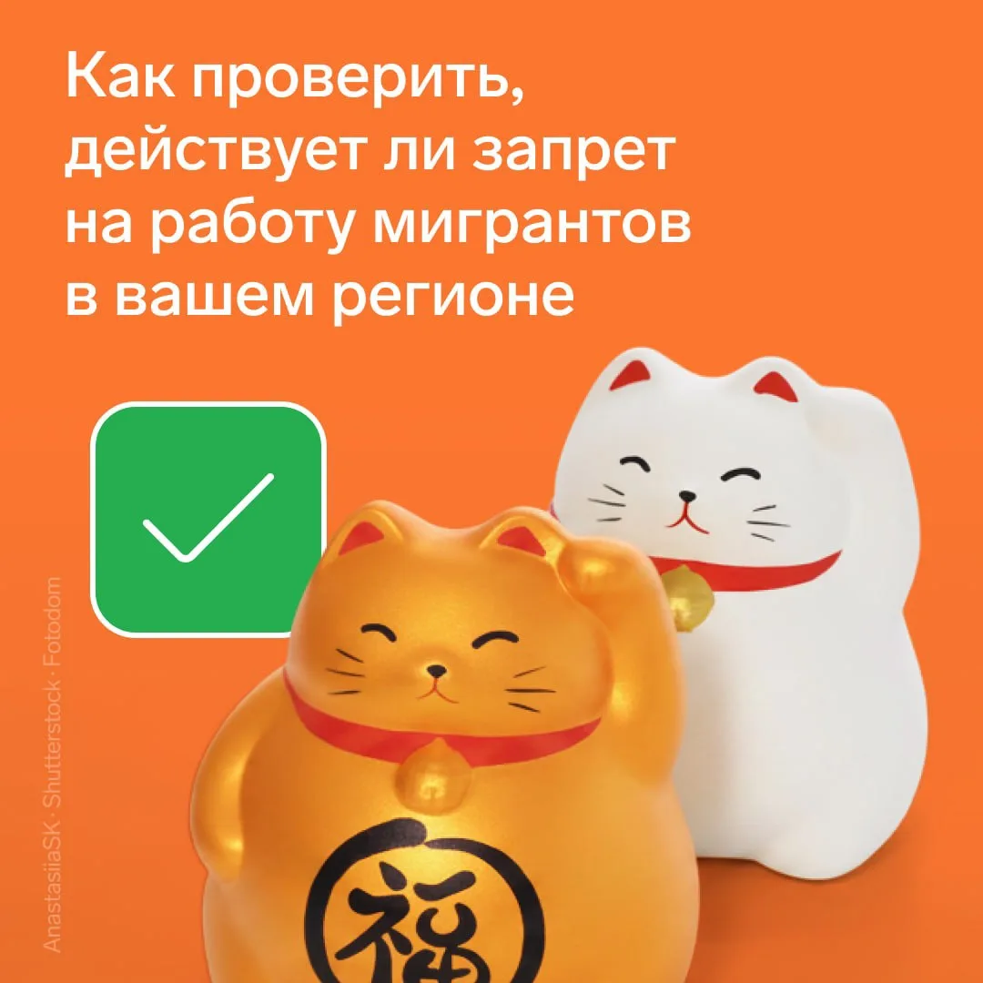 🌐 Как проверить, действует ли запрет на работу мигрантов в вашем регионе