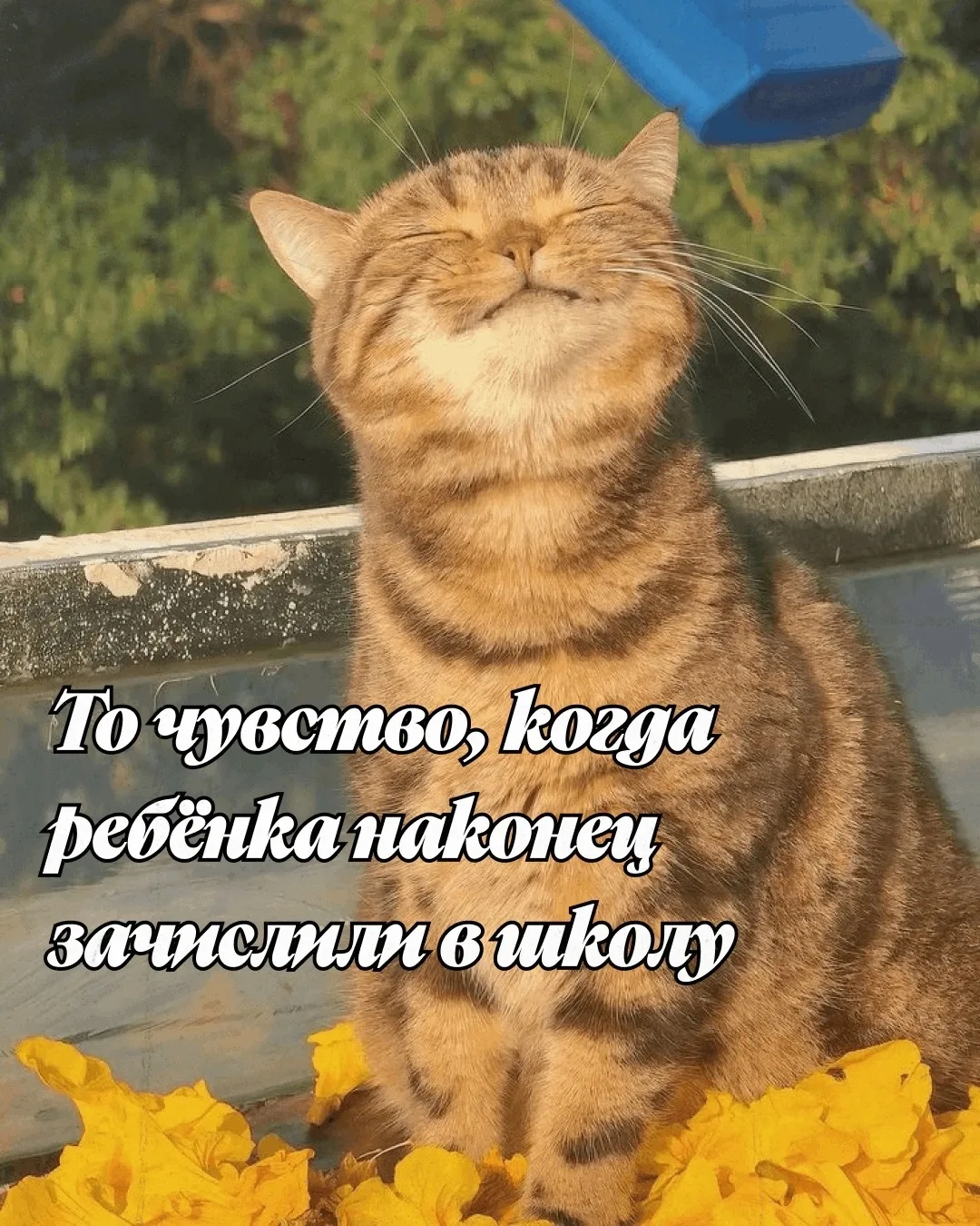 Ваш ребёнок этой осенью впервые сядет за школьную парту? Сейчас самое время убедиться, что все докум