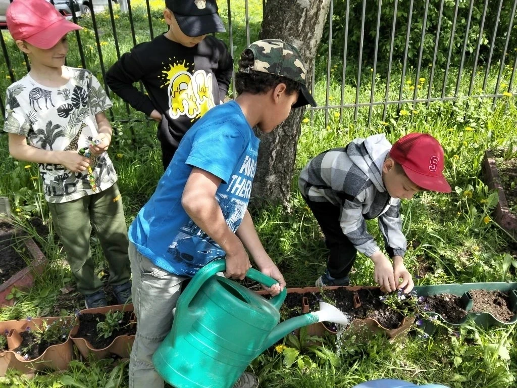 🌷Акция цветок в подарок детскому саду❗