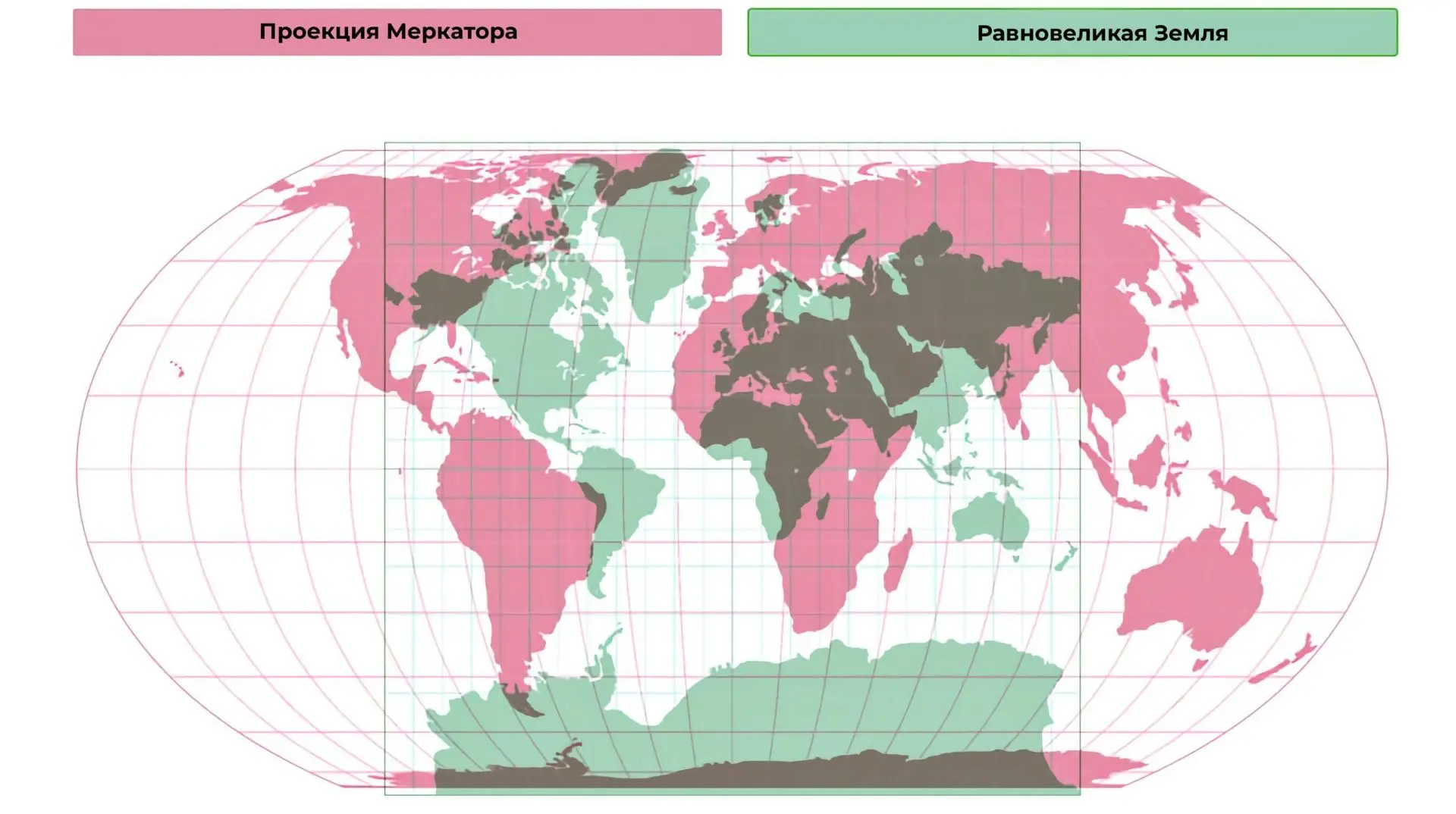 ООН проголосовала за переход на новую карту мира, которая отражает реальные размеры кон...