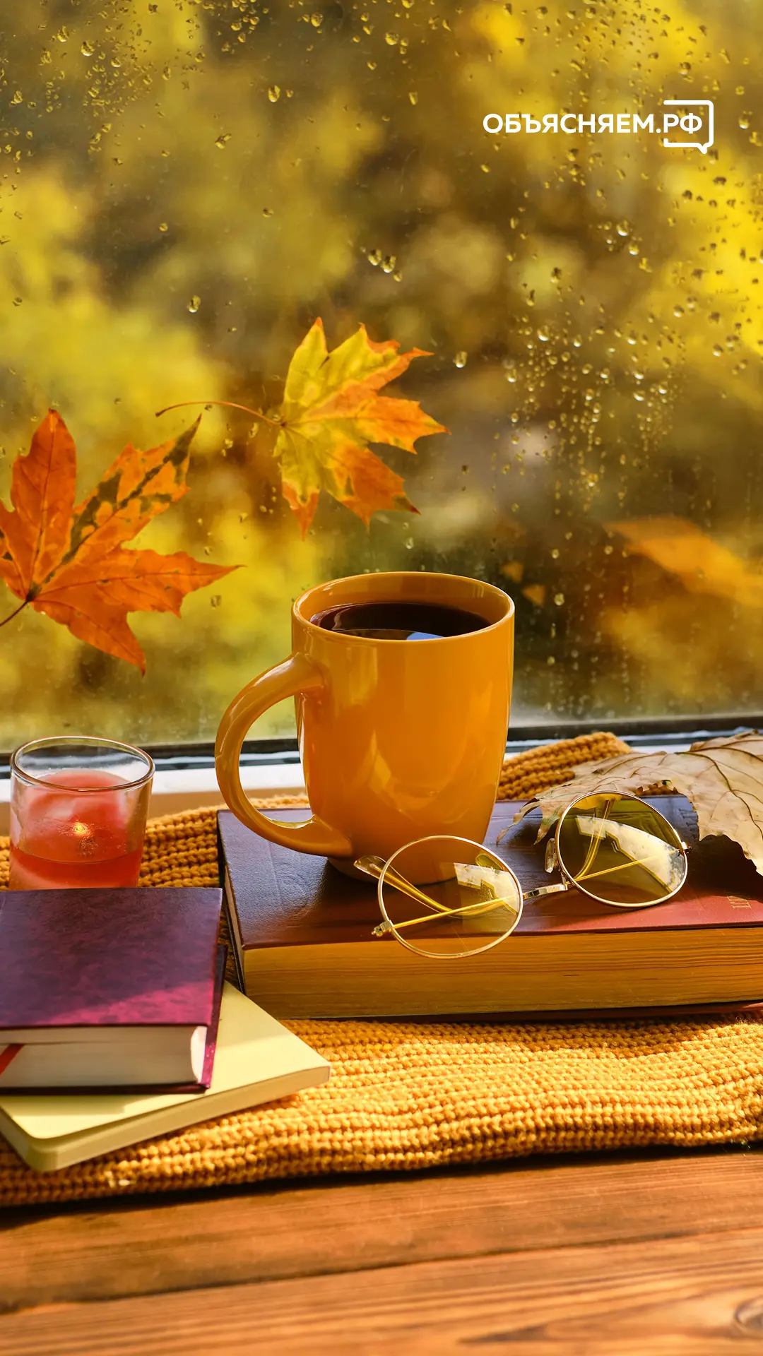 🍁 Уютные вечера, тёплые краски природы и шорох первых листьев под ногами — за это мы и...