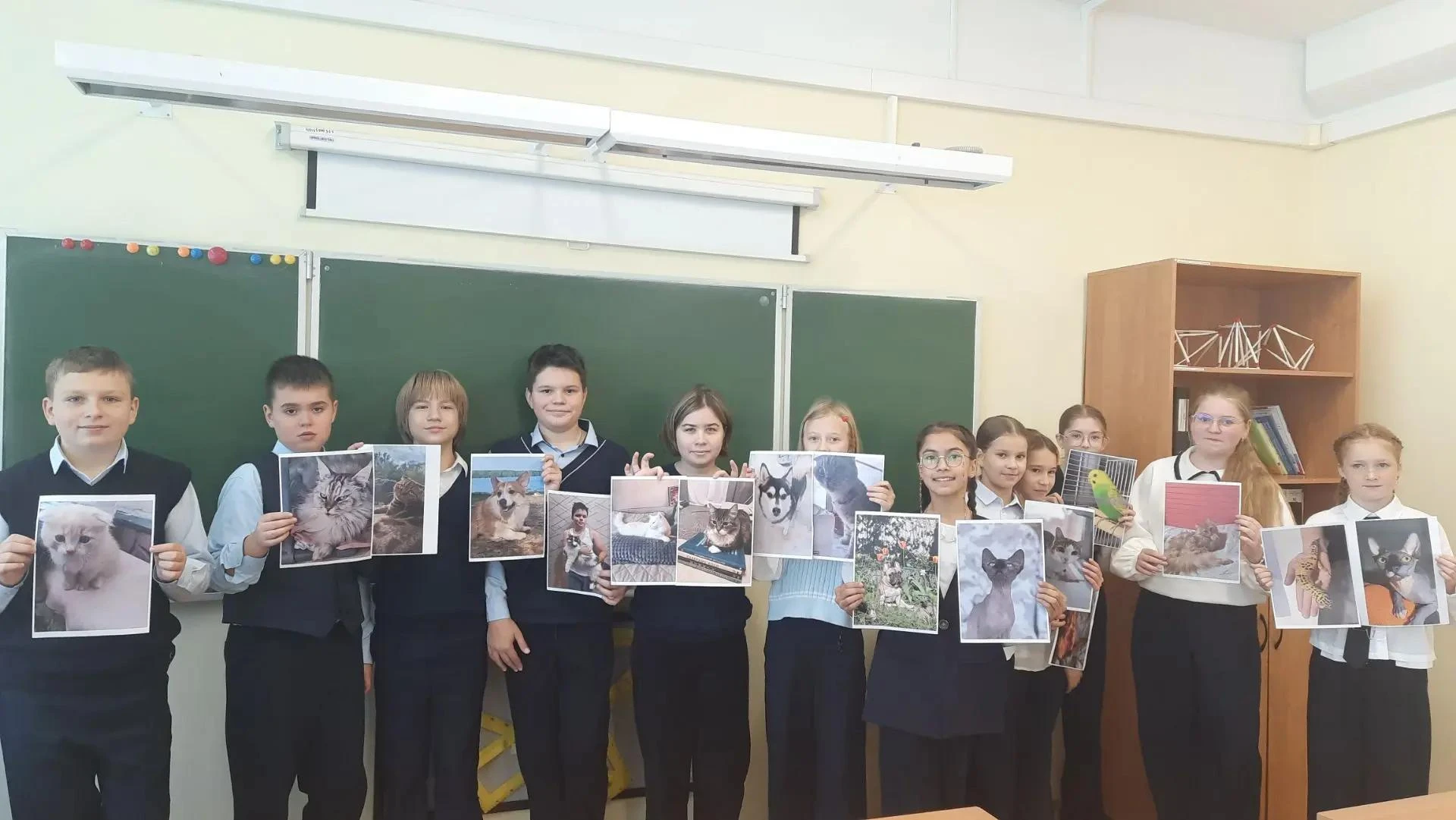 Медиацентр | Дата