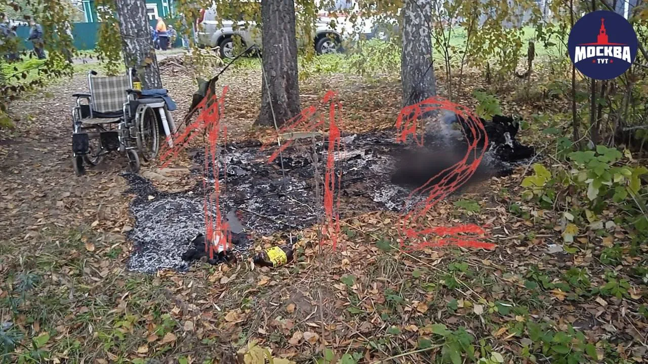 🔥 Турист сгорел в собственной палатке на берегу Даудовского пруда в Подмосковье.