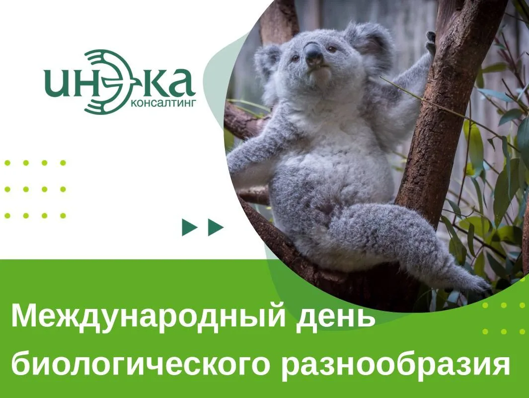 🌸Международный день биологического разнообразия