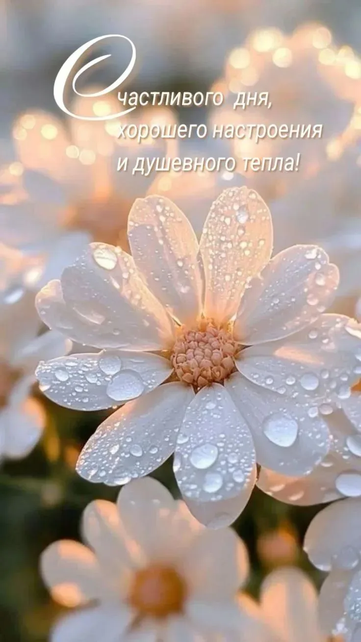 Добро пожаловать в мир красивых открыток!🦋