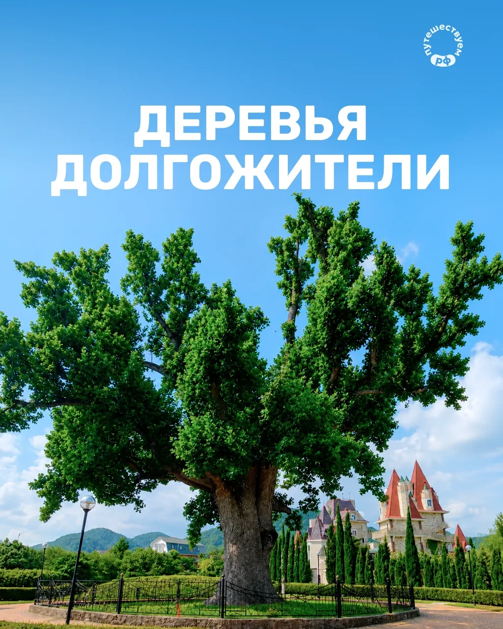 Они хранят вековую память, видели, как менялись города, и незримо связывают поколения —...