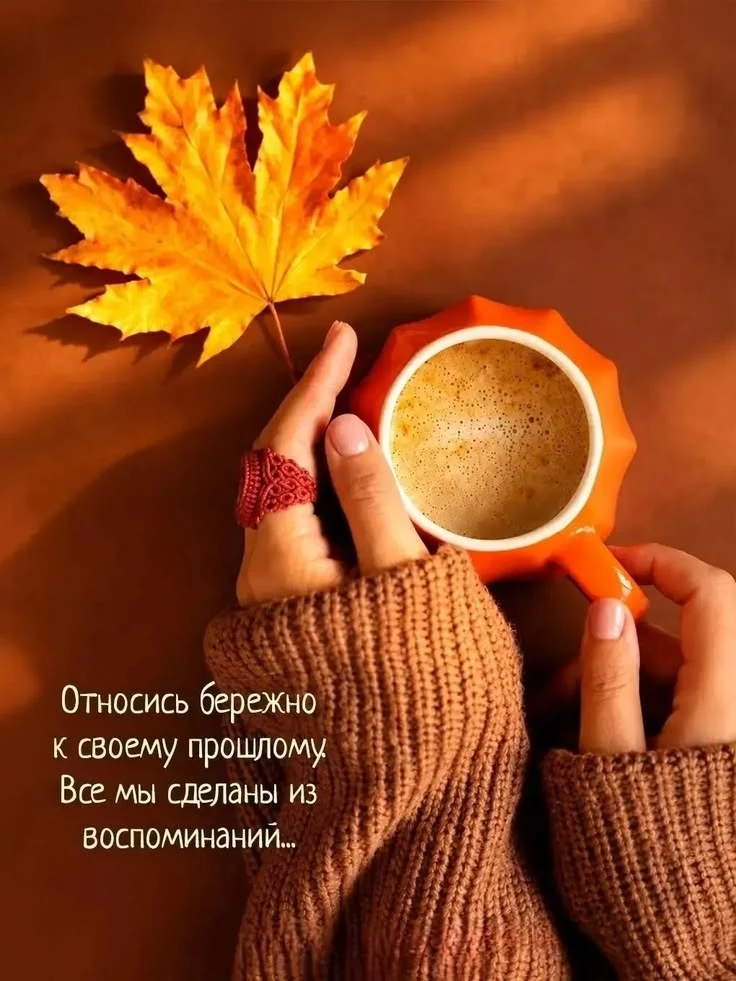 https://max.ru/invista123456