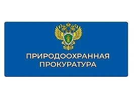 В Забайкальском крае по иску природоохранного прокурора пресечены нарушения при установлении границ 