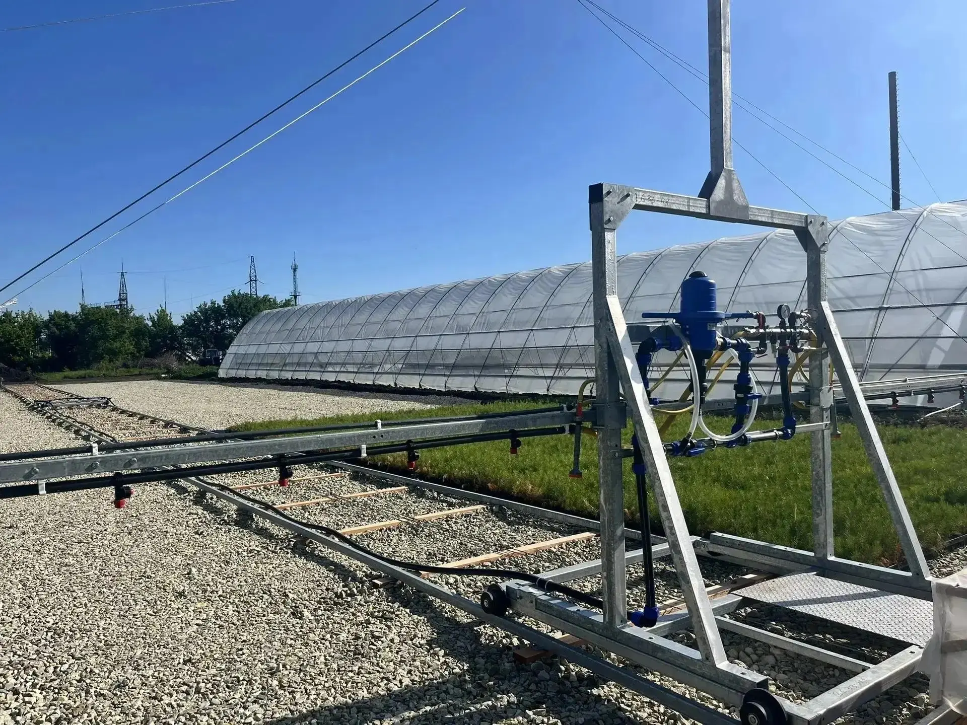 🌳 Губернатор назвал лидеров по лесопосадкам в Саратовской области