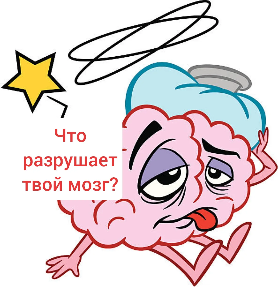 Что разрушает мозг?

Мало движения
Сидячий образ жизни = медленное мышление.

Много сахара
Сахар раз