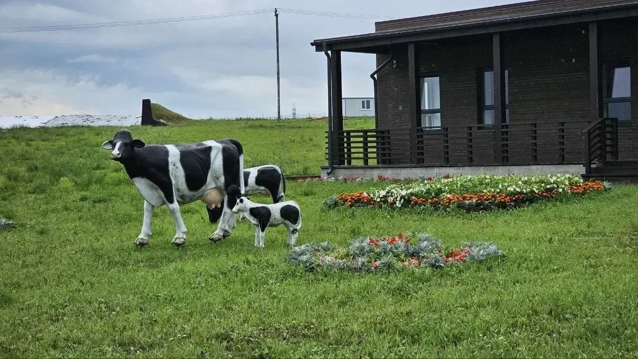 🐄 Озёрский агрохолдинг «ОСП агро» вошел в престижный рейтинг крупнейших производителей...