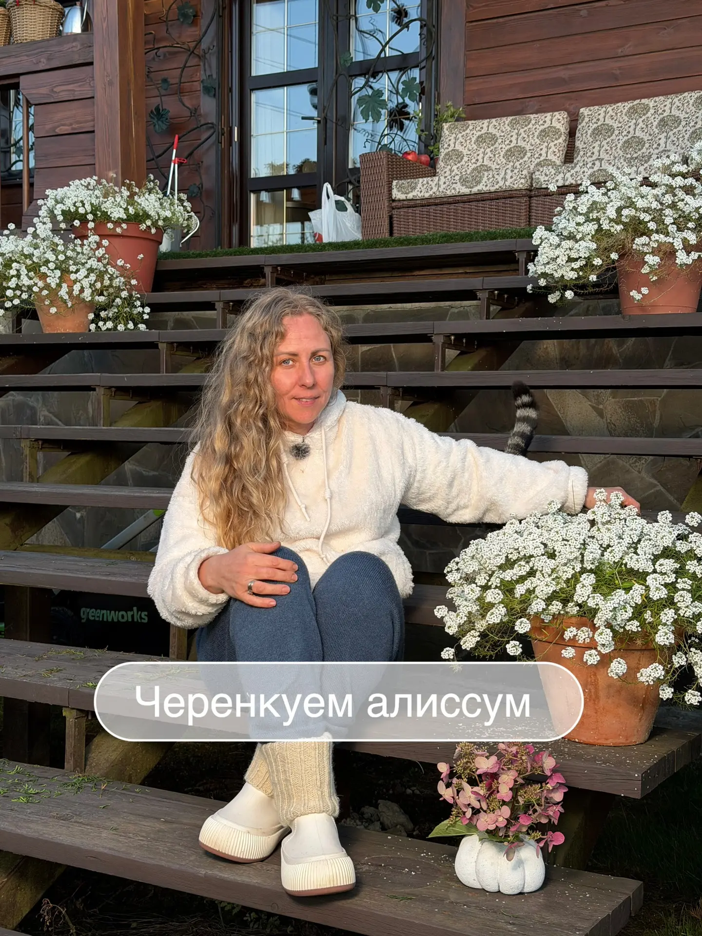 Так девочки сняла вам видео и фото как Алиссум Сноу Принцесс прекрасно… — публикация канала «Катя Фея Загородная жизнь»