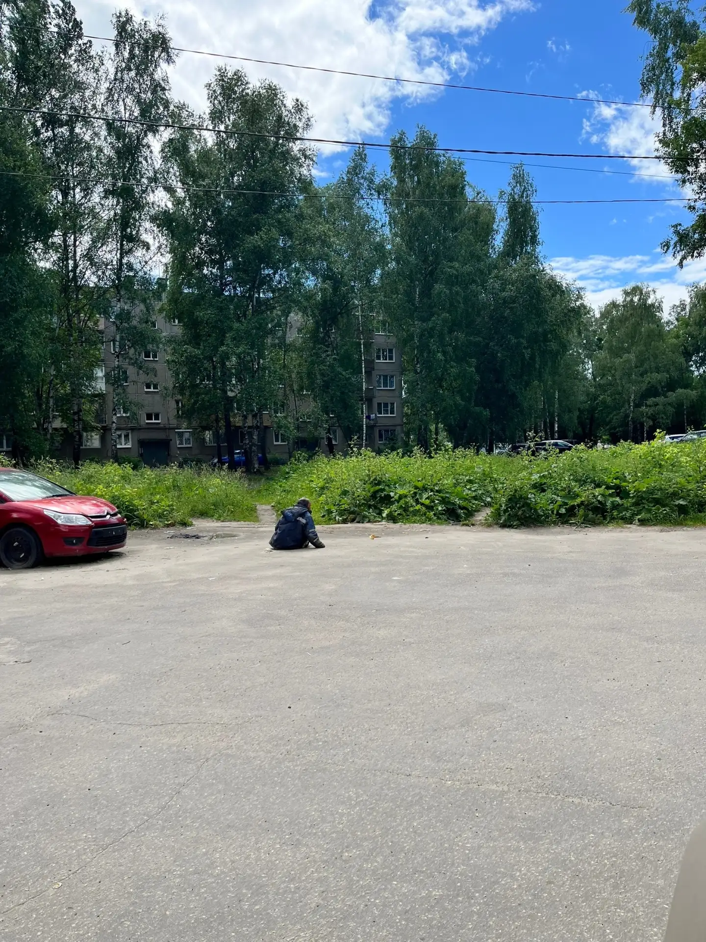 Крик о помощи‼️
