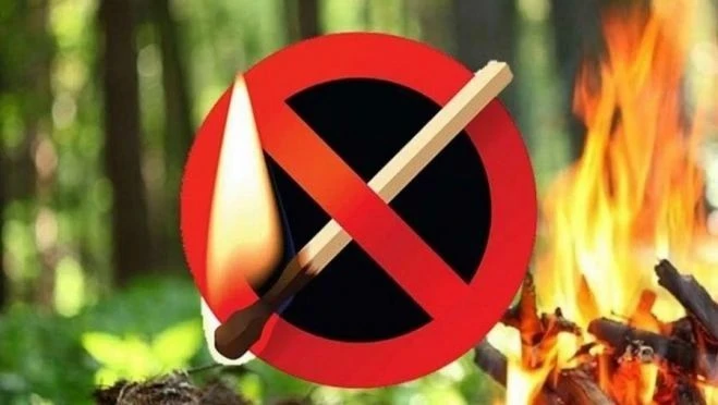 🔥1 сентября в центральных, западных, восточных, южных районах Крыма и в горах сохранит...