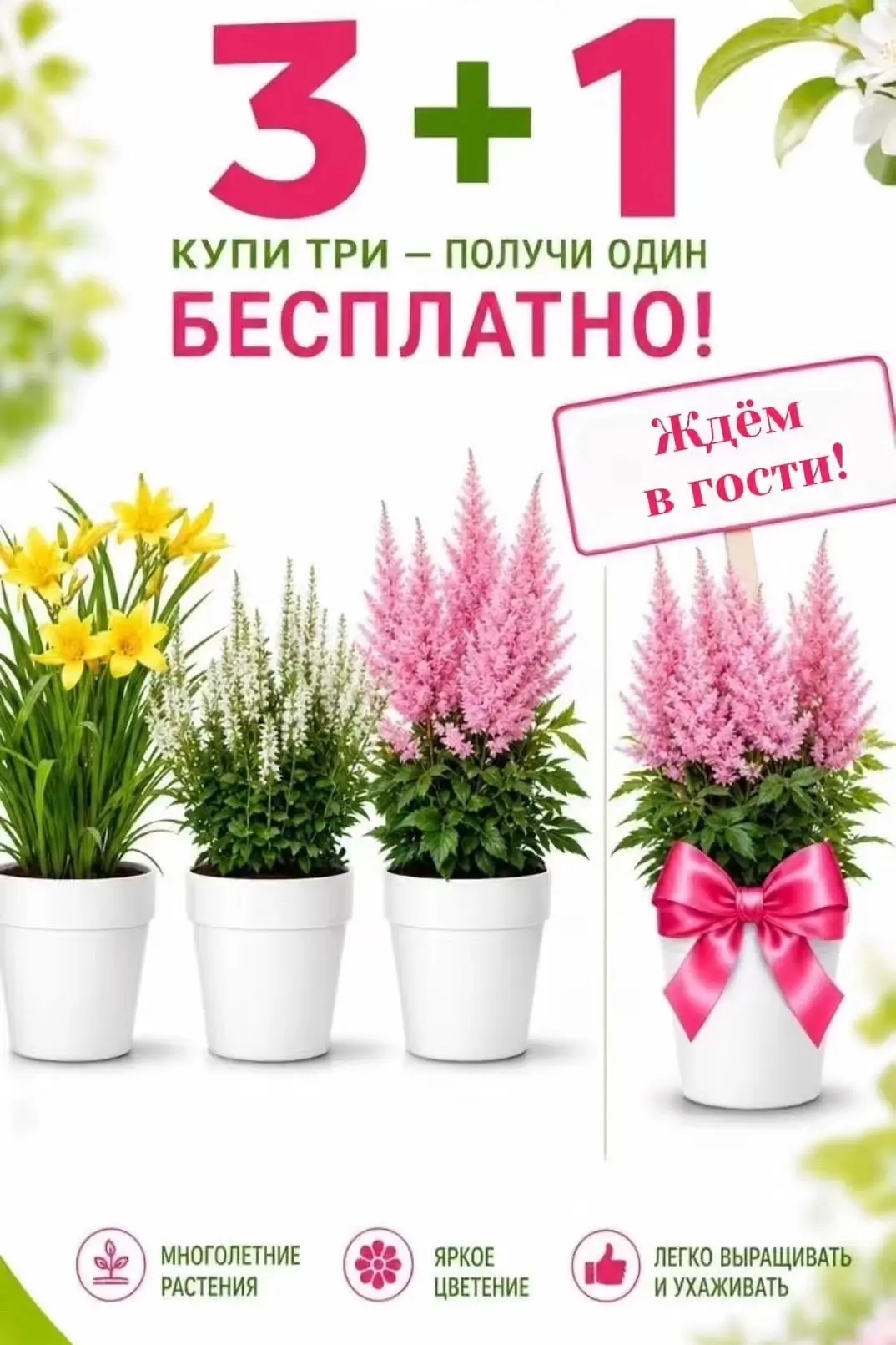 🌸 СУПЕР-АКЦИЯ в нашем садовом центре во Мстихино!