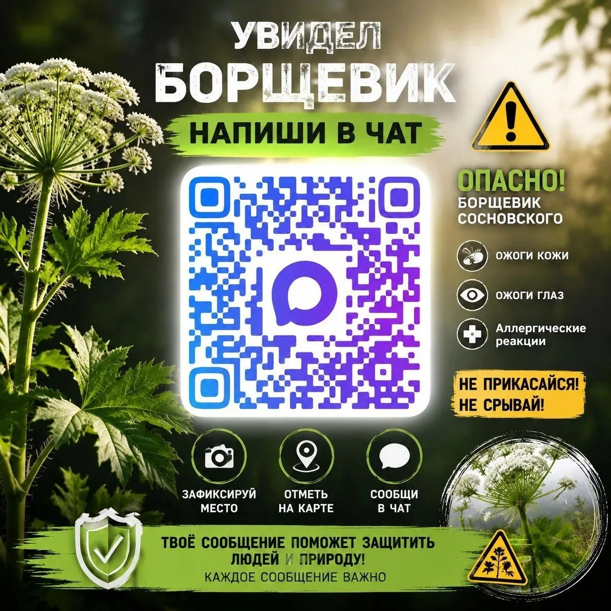 Если заметили борщевик:  1.   Не прикасайтесь к растению! 2.   Зафиксируйте место (фото, координаты)