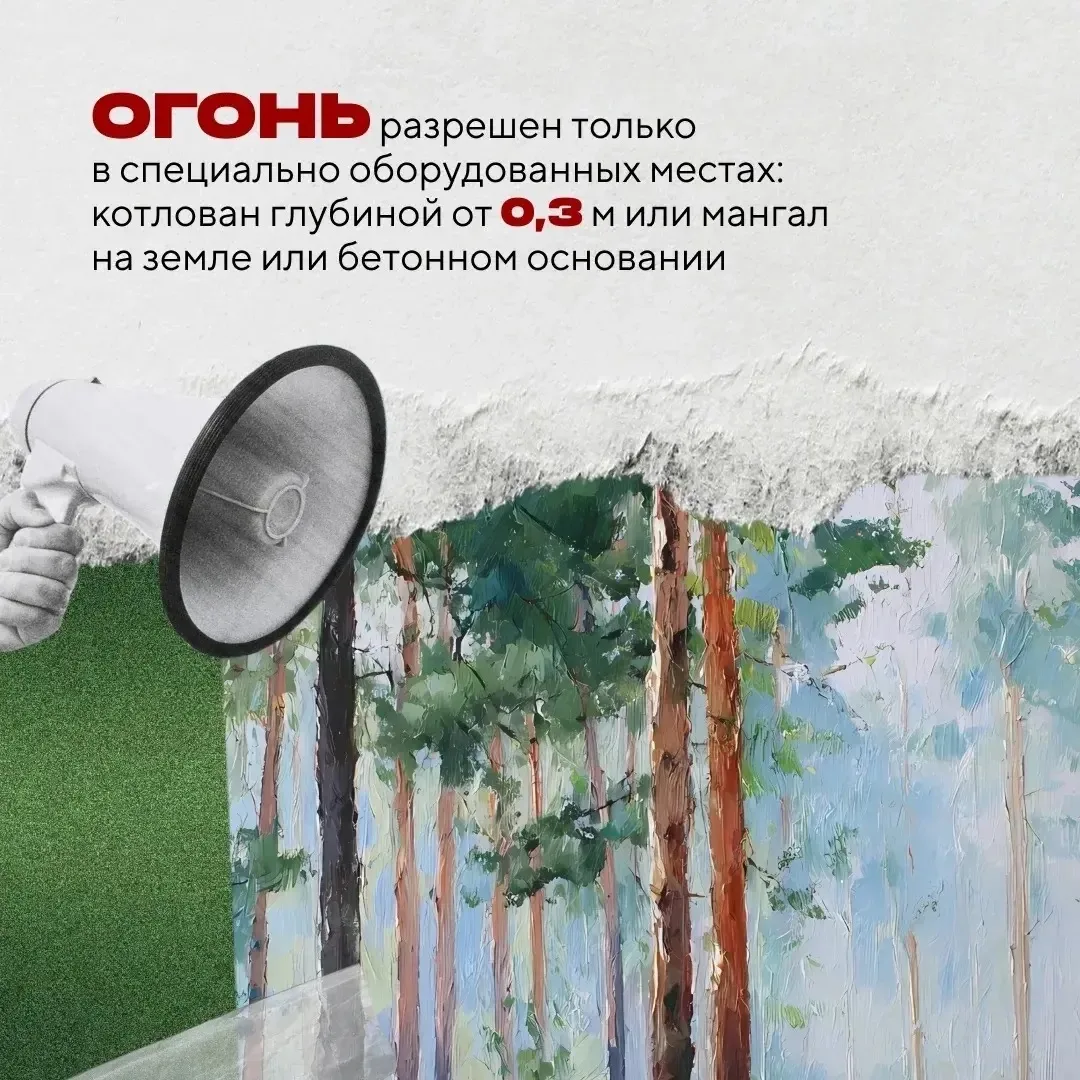 В Югре началась пора отпусков и дачного отдыха — самое время для пикников и прогулок по лесу. Чтобы 