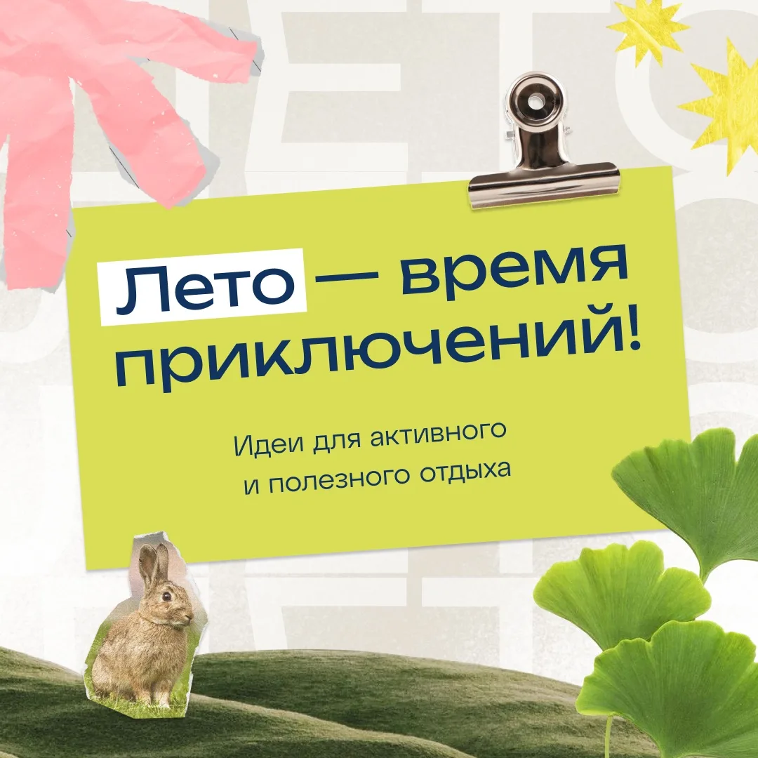 Лето — прекрасная пора для новых открытий, активного отдыха и творческих занятий. Как же организоват