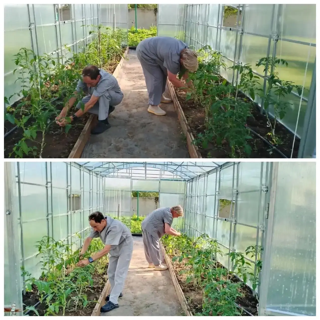 Занятия садоводством🥦 и огородничеством в рамках Новотроицкого психоневрологического интерната явля