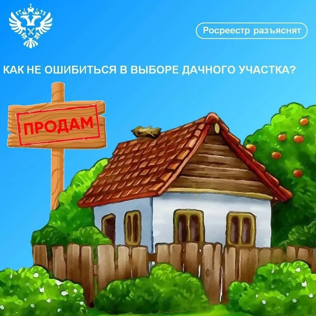 🏡На дворе лето, самый разгар дачного сезона. Кто-то уже проводит выходные дни и отпуск...