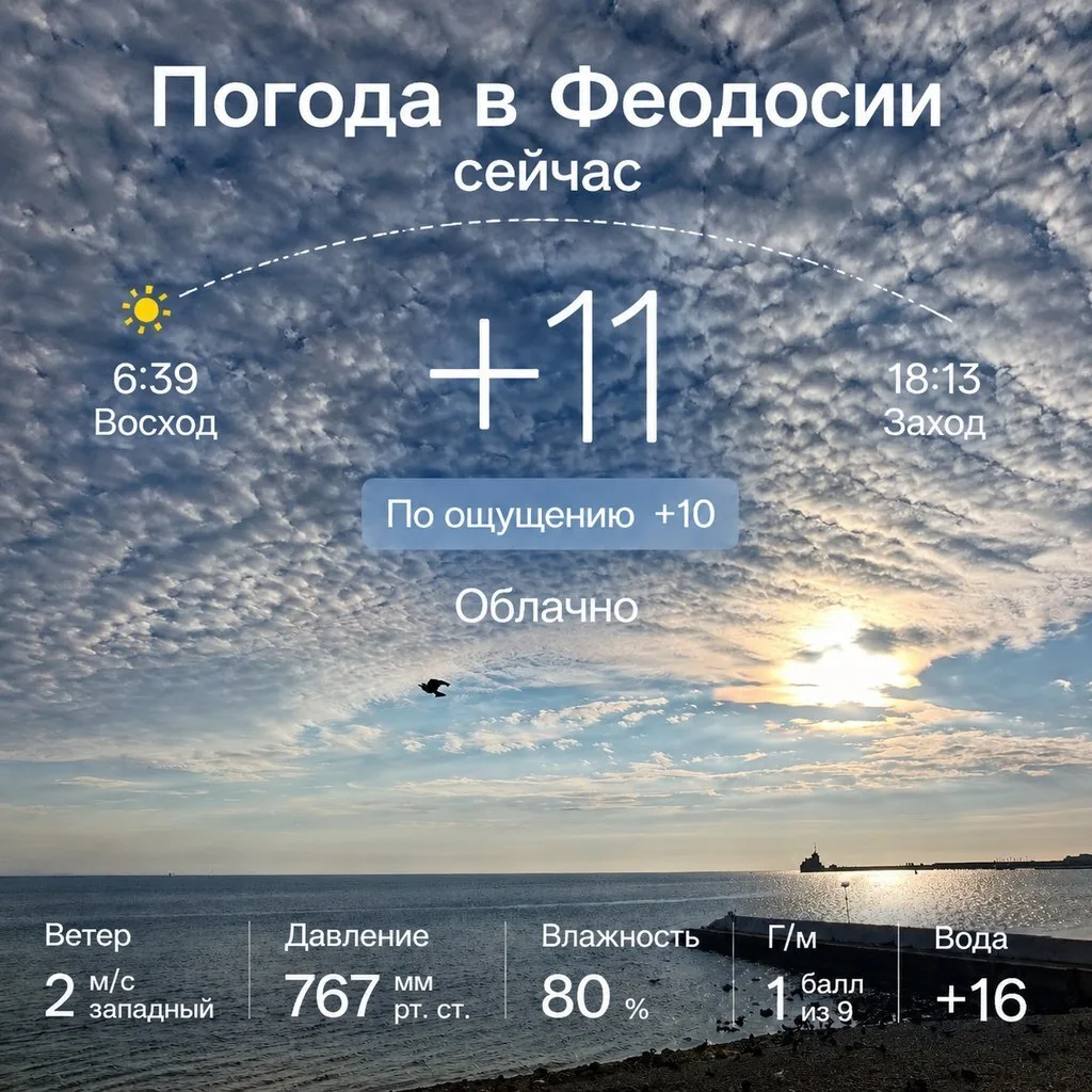 🌅 Феодосия, лови погодный прогноз — и решай, брать ли купальник или пуховик! 😄