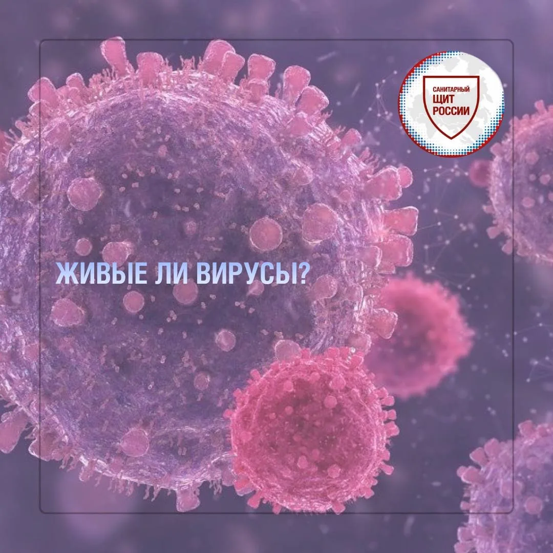 На этот вопрос у науки до сих пор нет однозначного ответа.