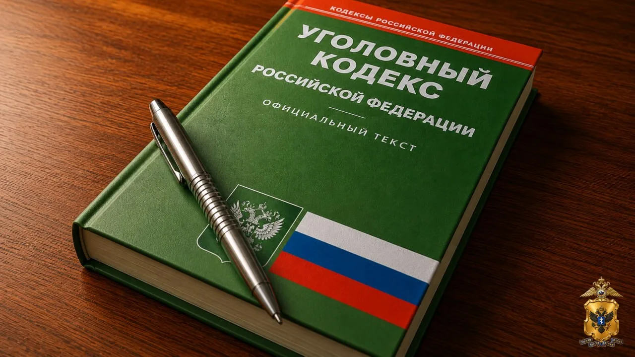 ⚡Житель Генического округа признан виновным в дропперстве