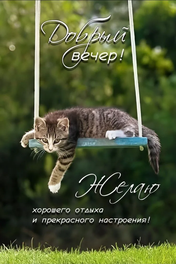 Женские открытки💝