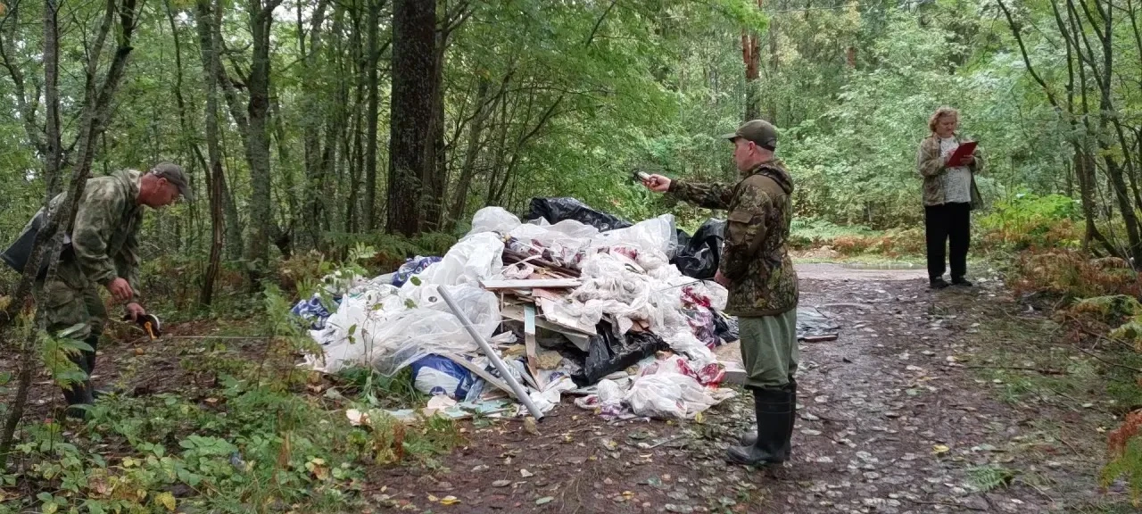 Мусор растёт быстрее грибов