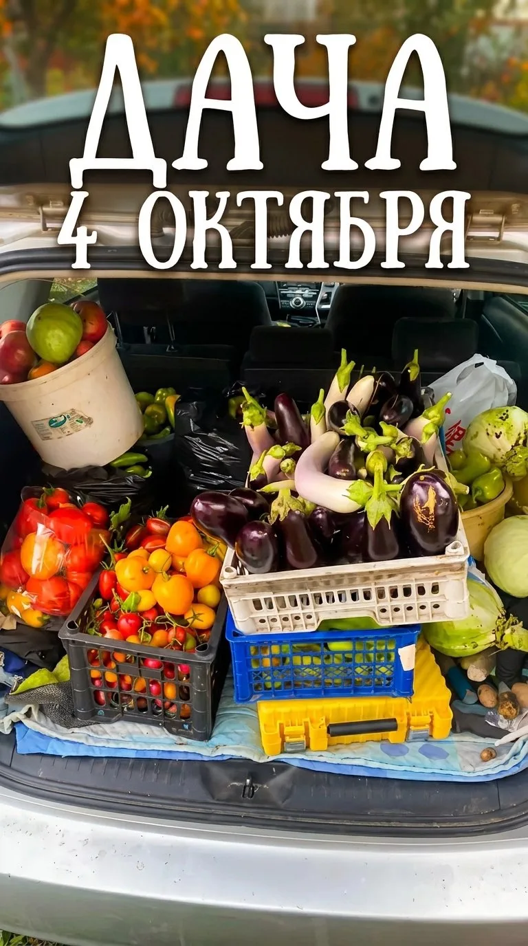 Дача🏡