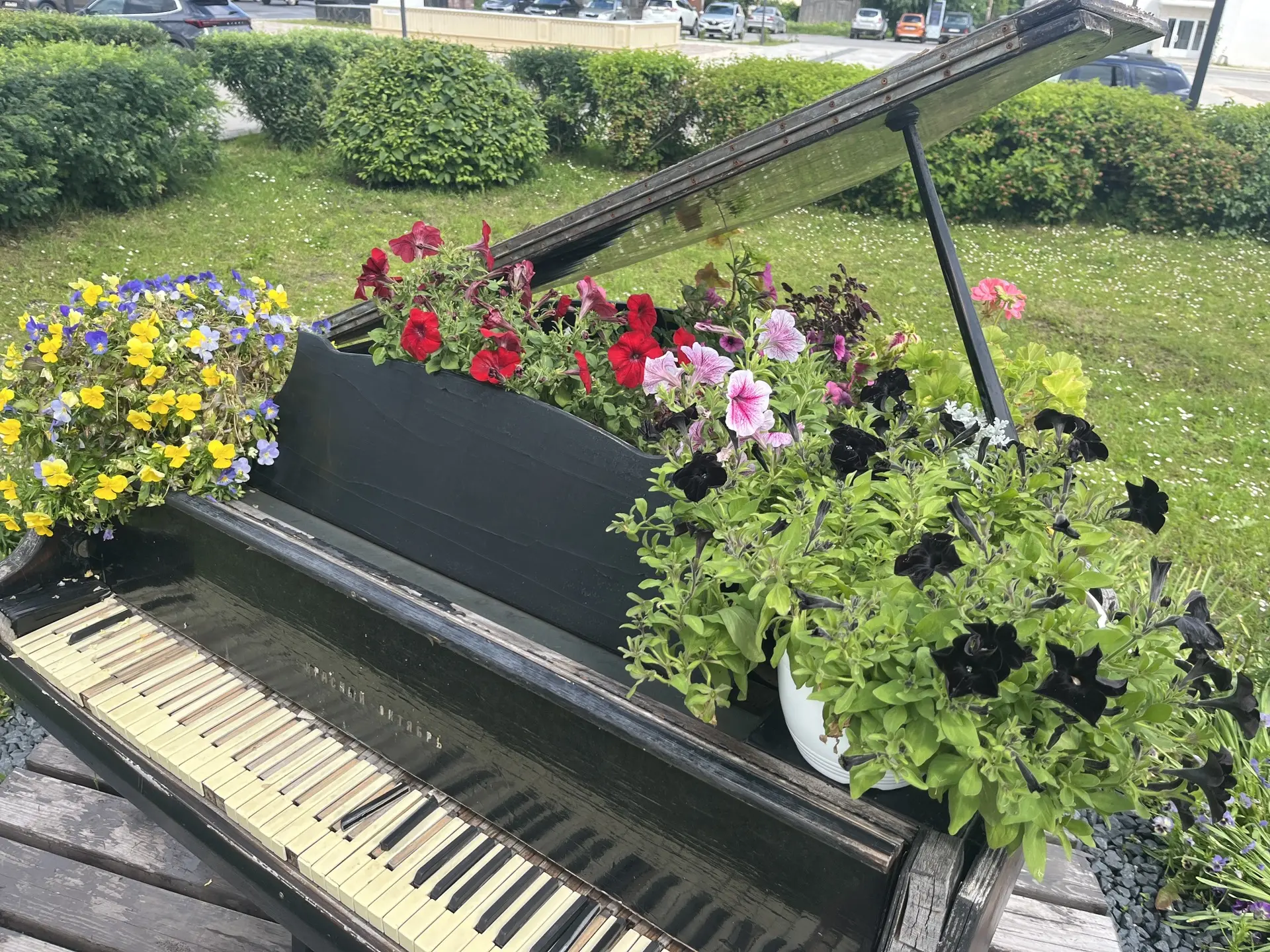 🌺 Дорогие друзья! Мы очень рады, что на нашу просьбу о цветах для роялей откликнулось столько нерав
