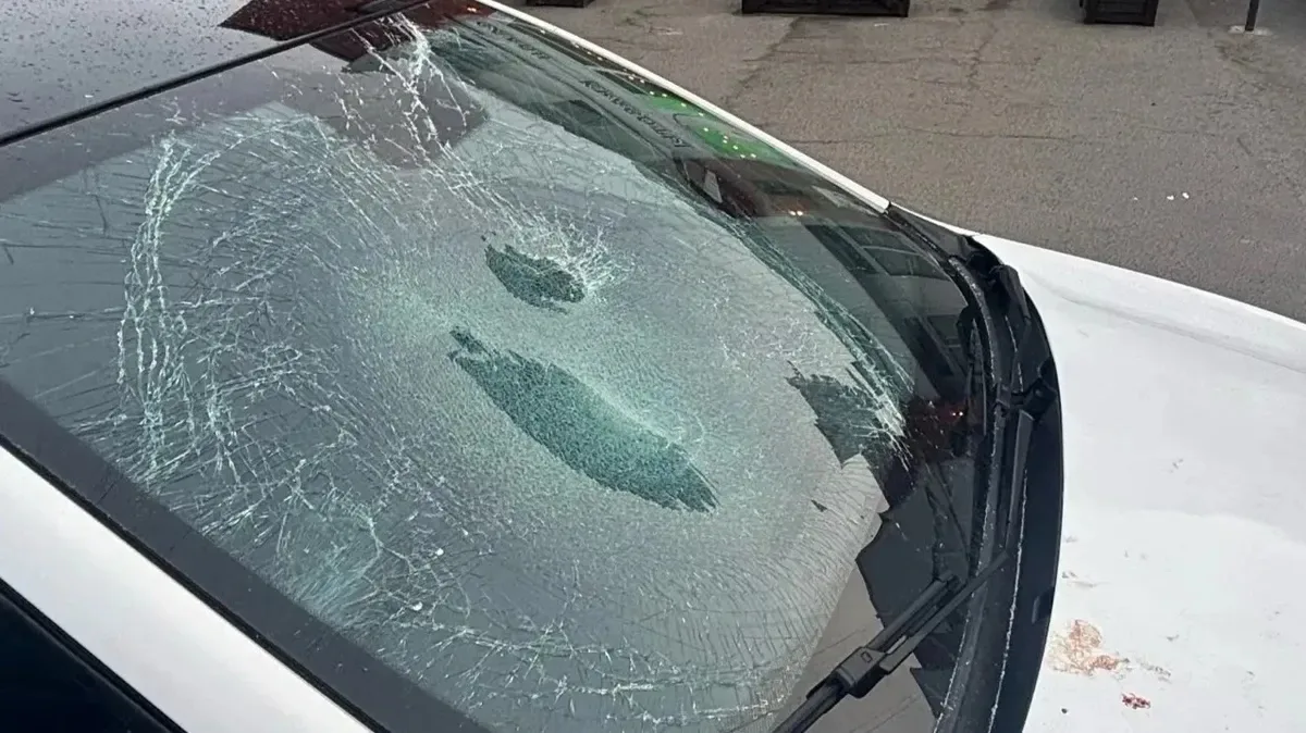В Красносельском районе Петербурга задержали голого дебошира, разбившего лобовое стекло автомобиля т