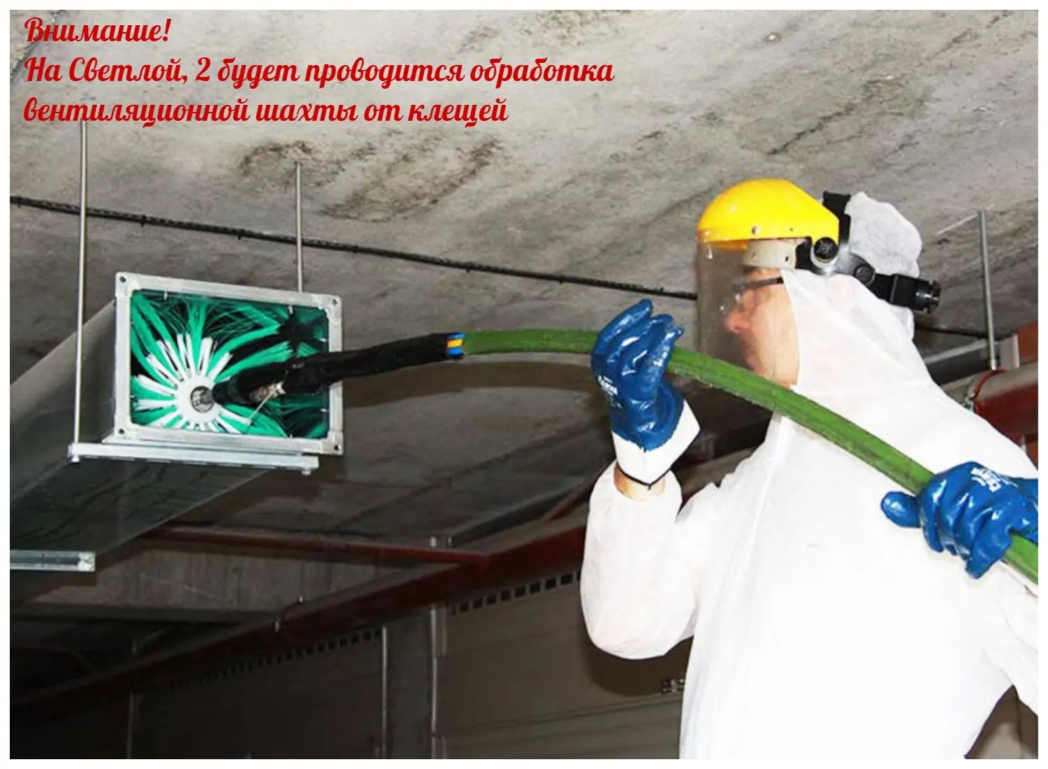 📣 Уважаемые собственники дома по адресу Светлая, 2 (микрорайон «Белый хутор»). 📣                  