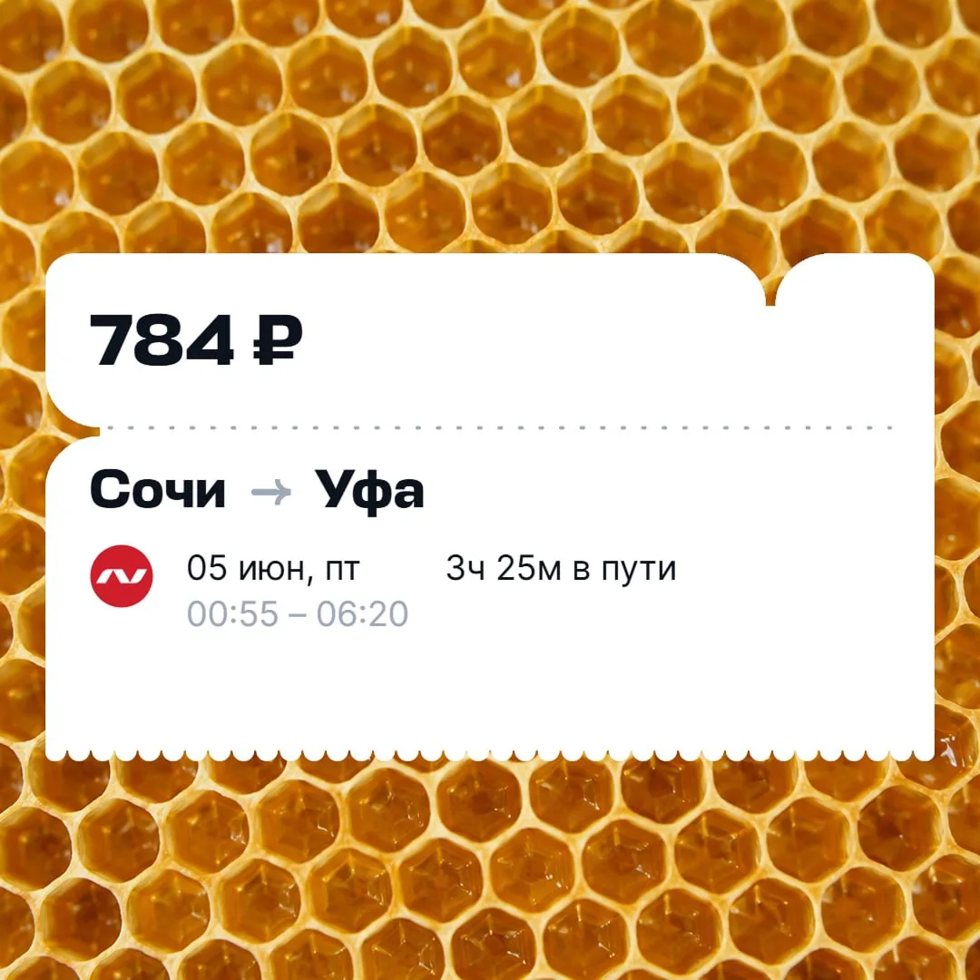 Сааааамый дешёвый билет в вашей жизни! Вы вообще когда-то такое видели?!!!