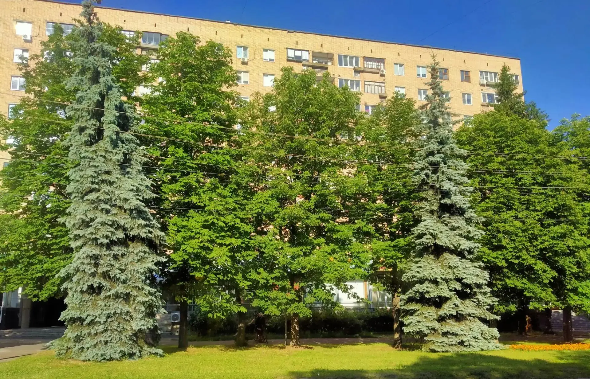 🌳 🏢 🌲 В Железногорске благоустроят нечётную сторону улицы Ленина 

Работы могут начаться уже чере