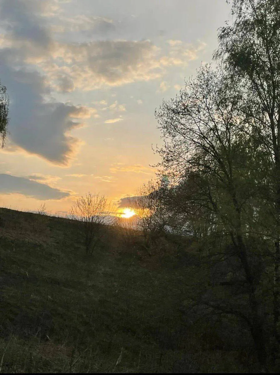 🌙 Доброй ночи, Архангельск!