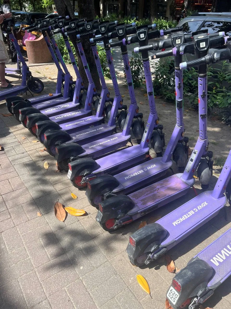 🛴 Самокаты против людей: Лазаревское на грани инцидентов!

Улицы Лазаревского превращаются в зону п
