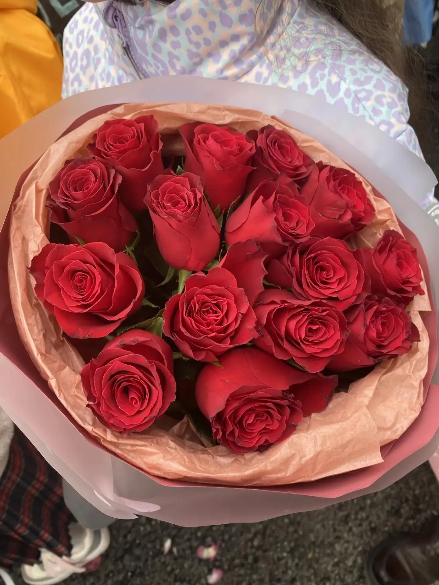 🎀 Здравствуй, школа!