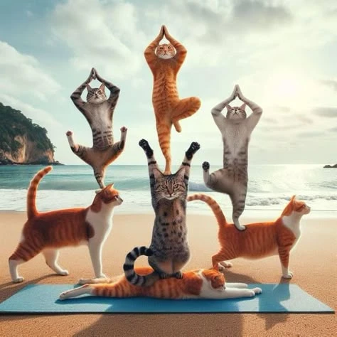 🧘‍♀️ Медитация для тех, кто не умеет медитировать