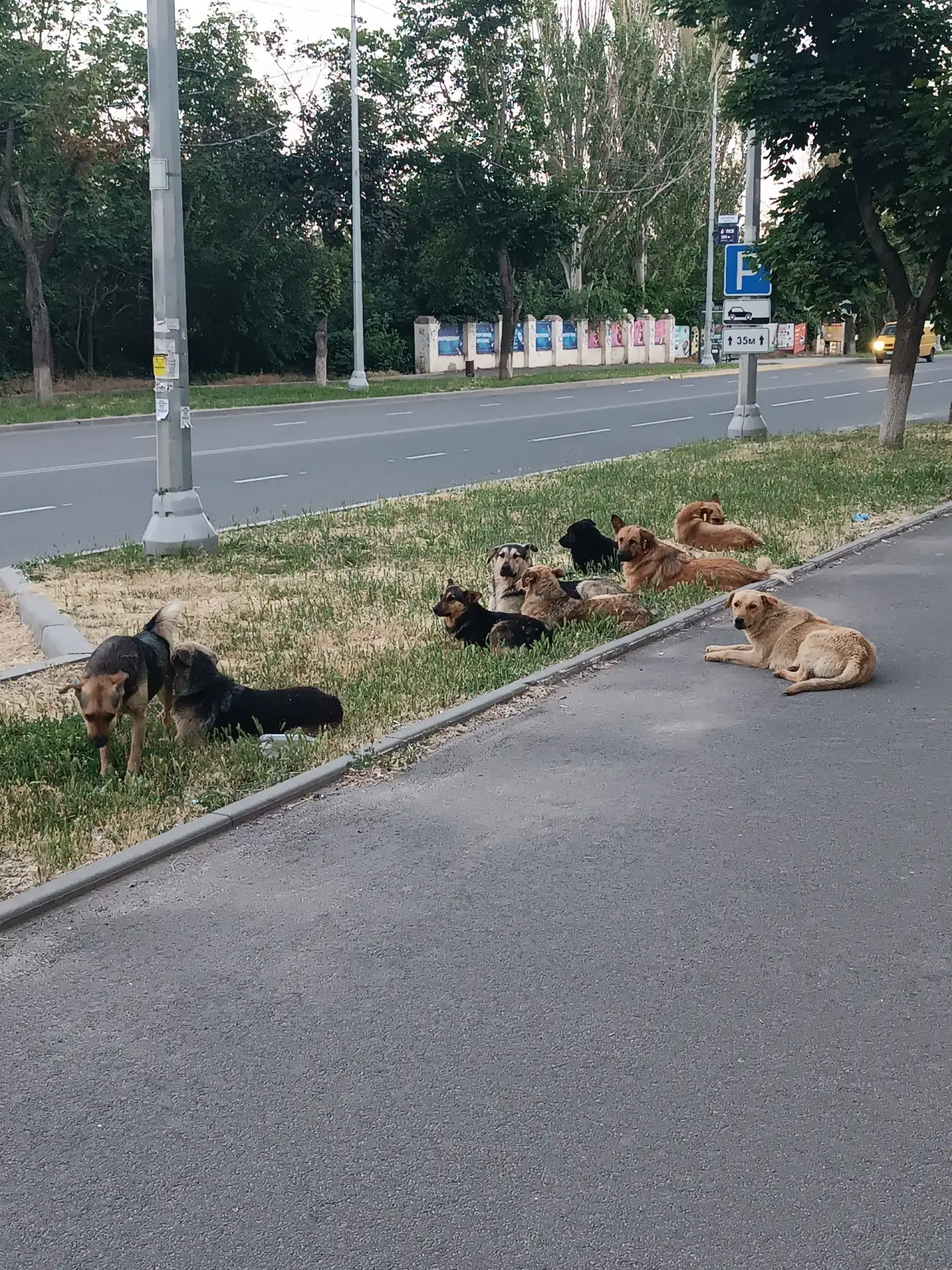 Ну чего стоишь, проходи, а мы тебя кусь за бочок 😁

А вообще да, ситуация конечно не веселая, согла