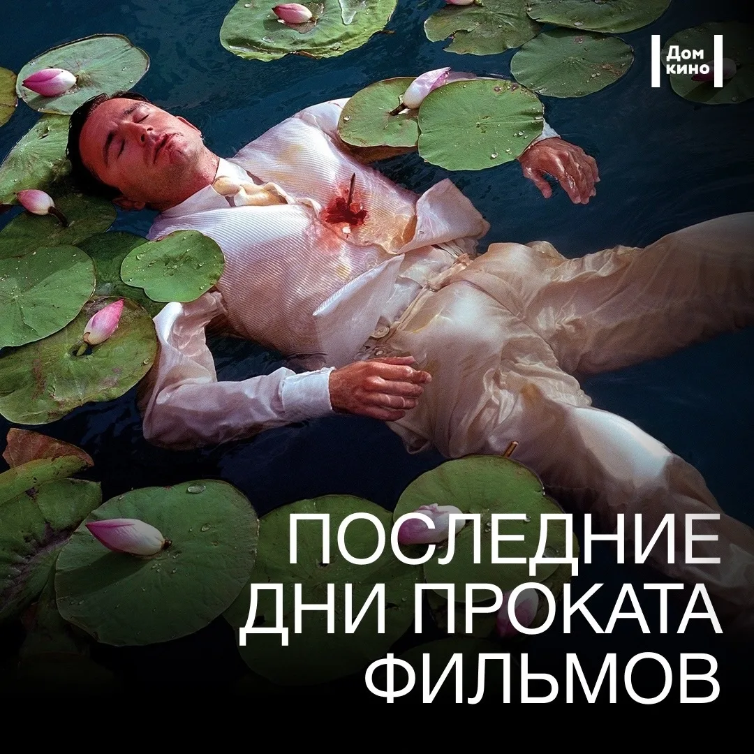 Успевайте поймать последние сеансы — до 29 июля в прокате:

▫️ трогательная фестивальная драма о сем